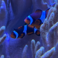 Sally (Leank)