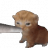pajtonq
